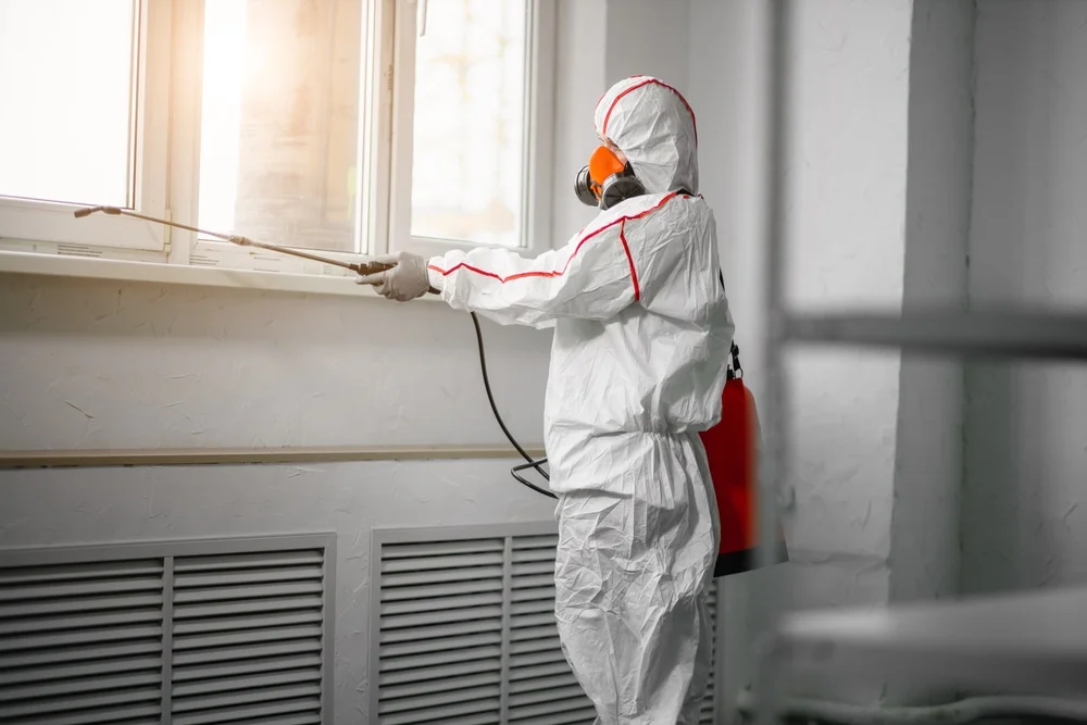 Professional mold remediation services in Crossett, AR
